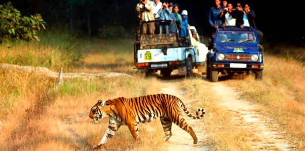 ETURNAGRAM WILDLIFE SANCTUARY